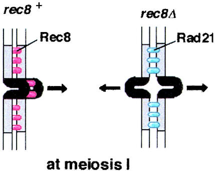 FIG. 7.