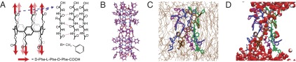 Fig. 1.