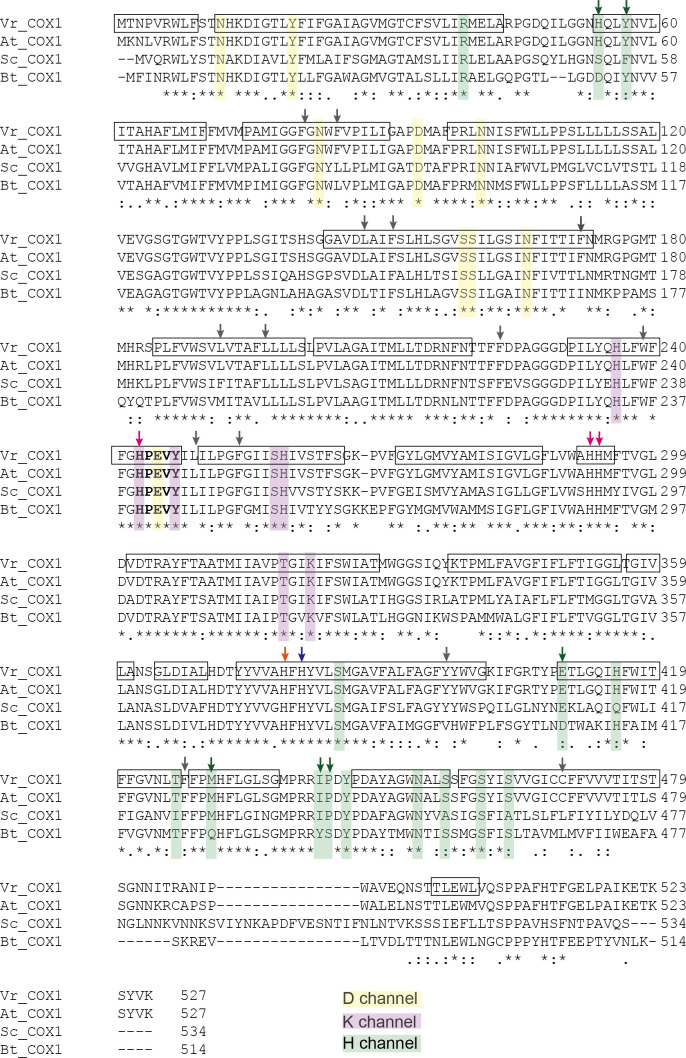 Figure 7—figure supplement 1.