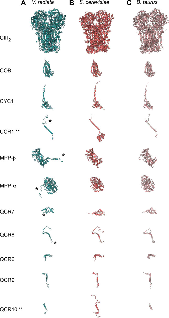 Figure 2—figure supplement 1.