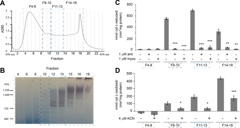 Figure 1—figure supplement 4.