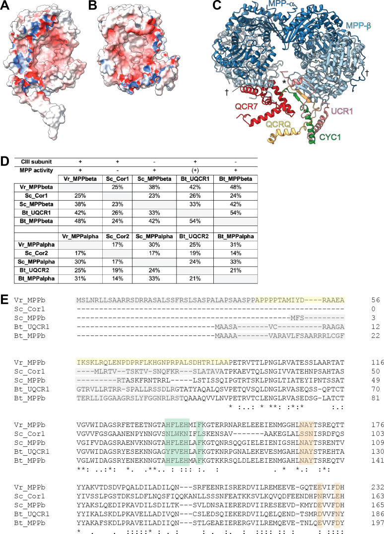 Figure 3—figure supplement 1.