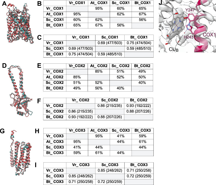 Figure 5—figure supplement 1.