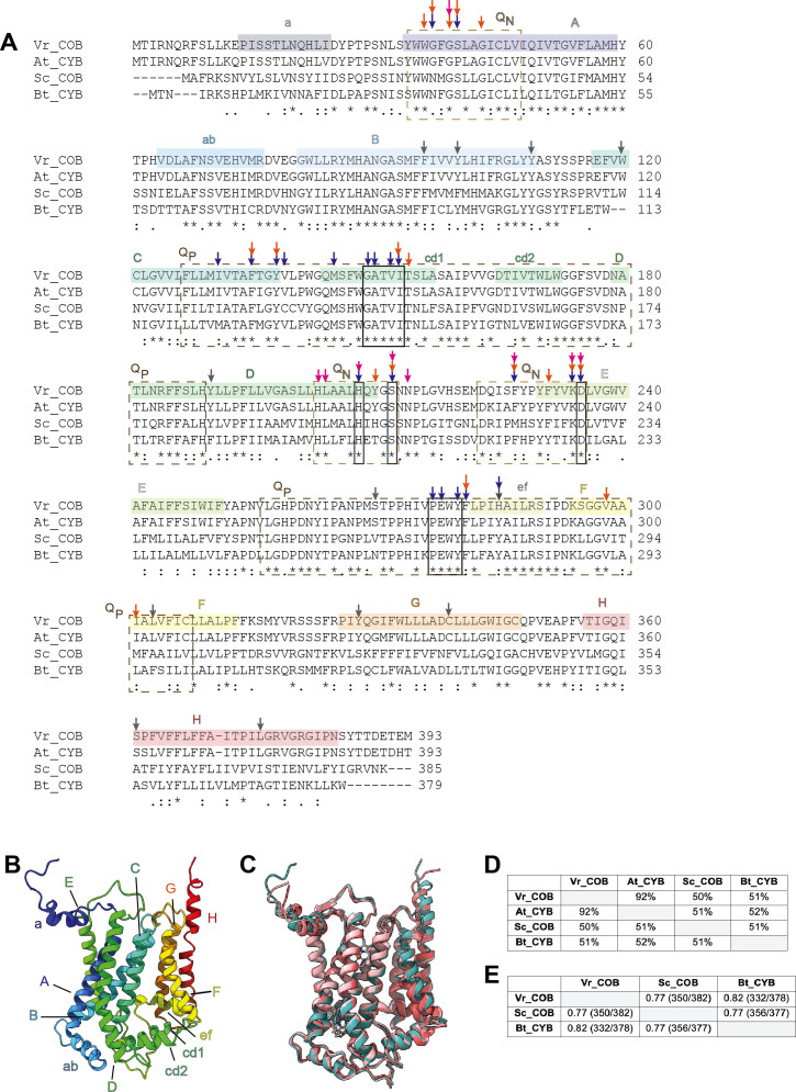 Figure 2—figure supplement 2.