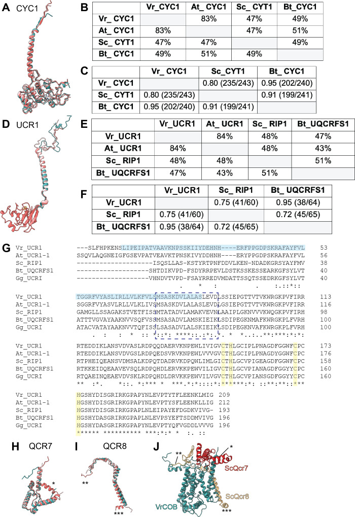 Figure 2—figure supplement 3.