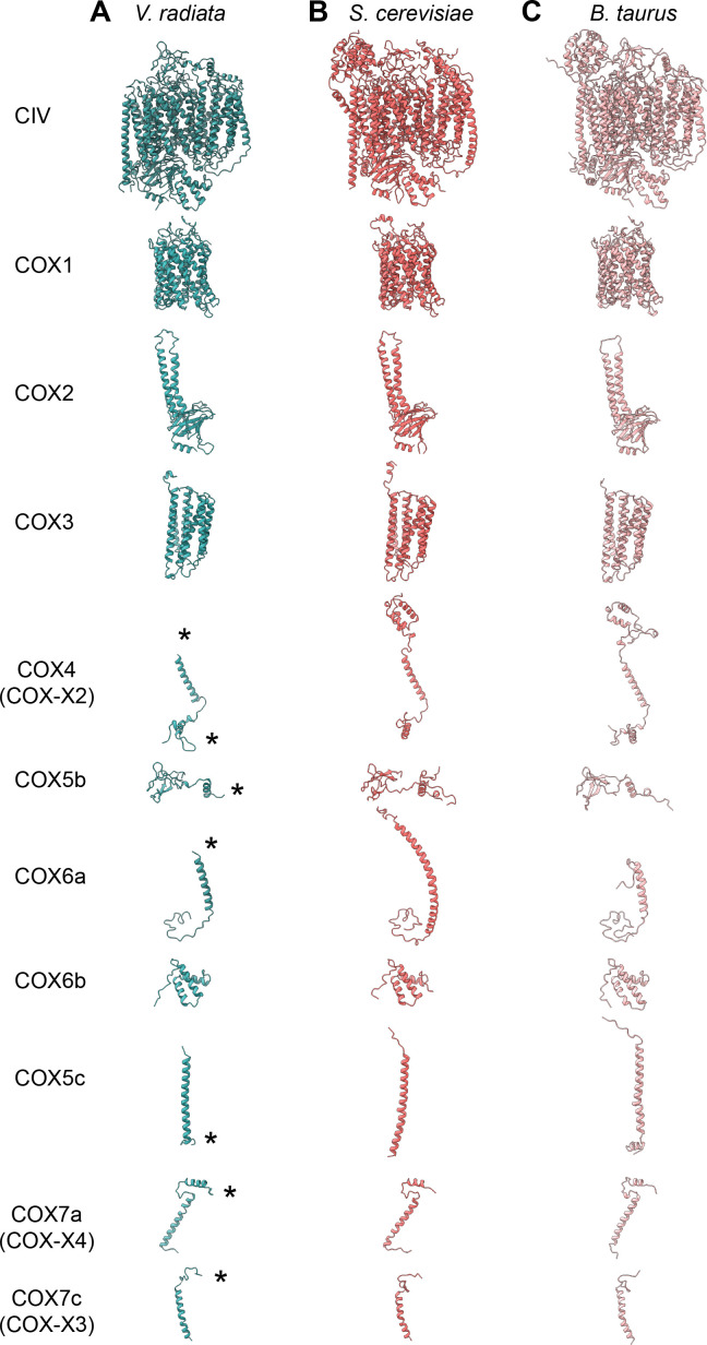 Figure 6—figure supplement 1.