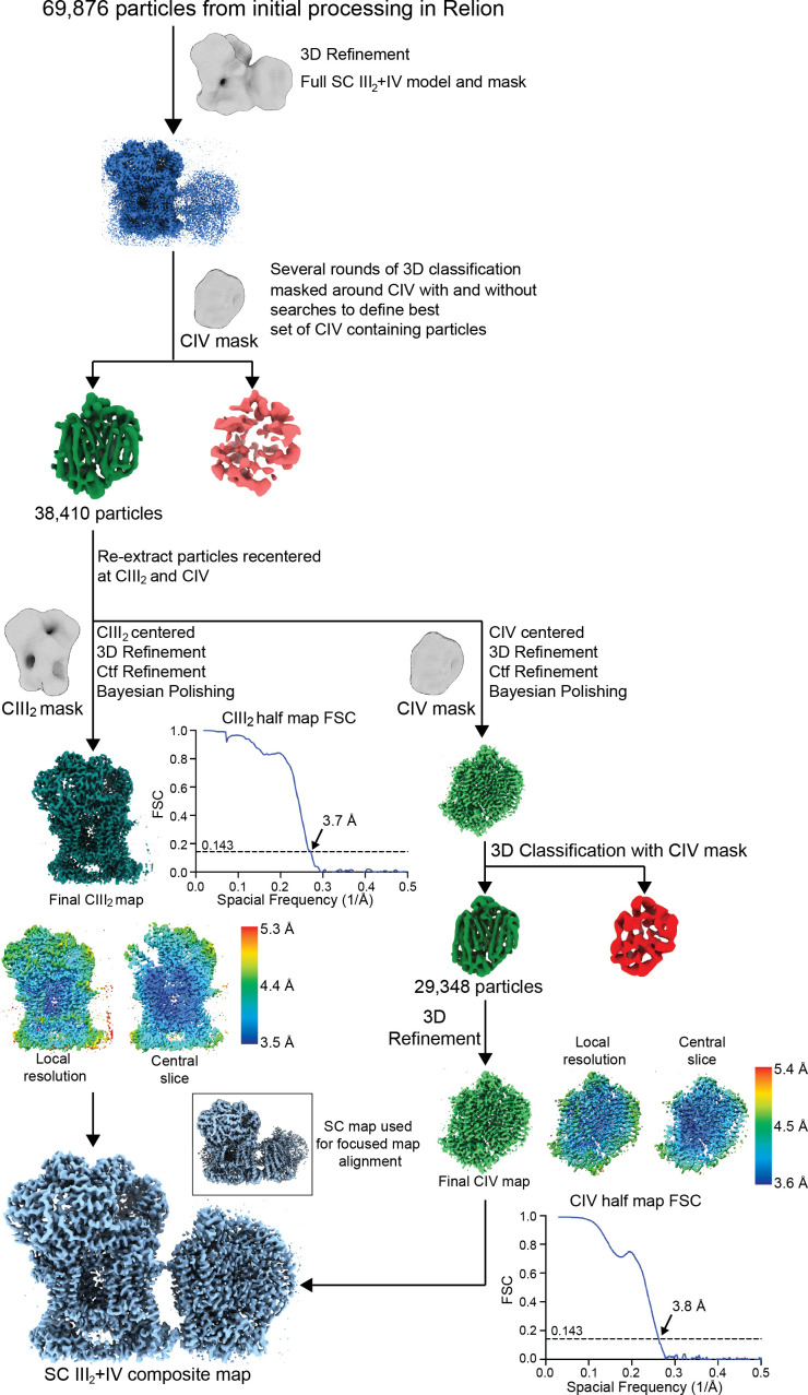 Figure 1—figure supplement 2.