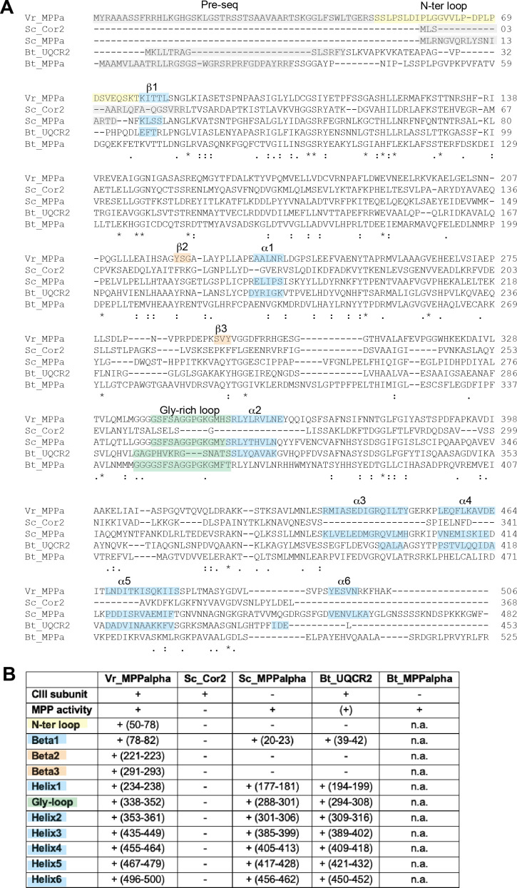 Figure 3—figure supplement 2.