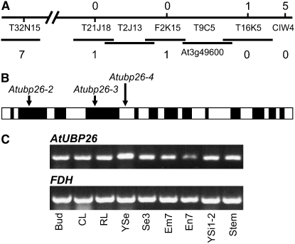 Figure 2.—