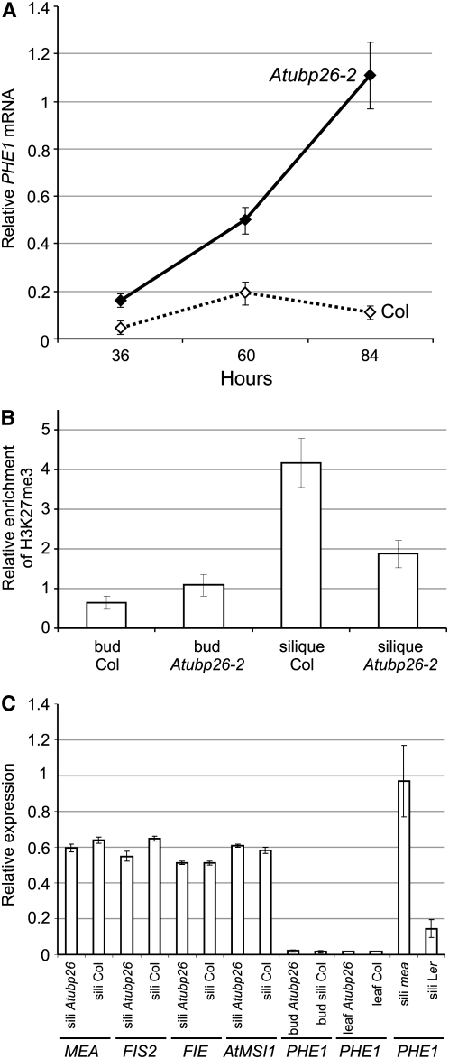 Figure 4.—