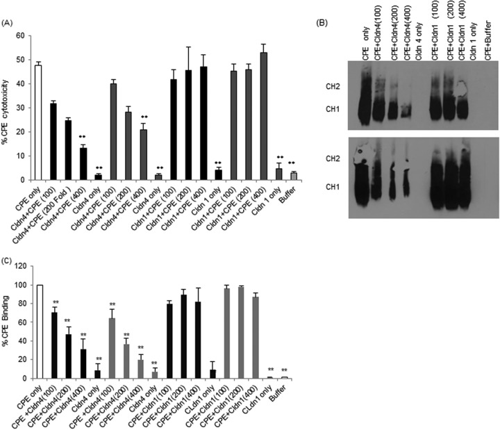 FIG 2