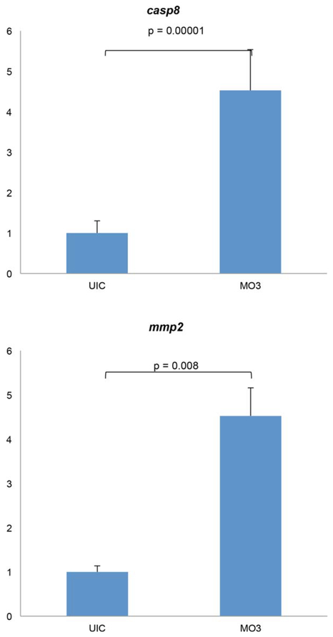 FIG. 6.