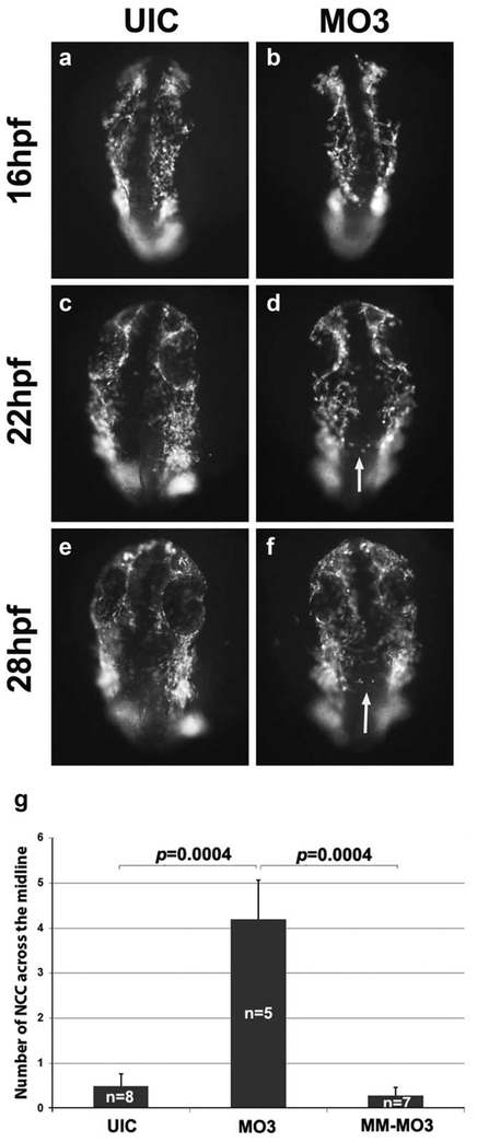 FIG.1.