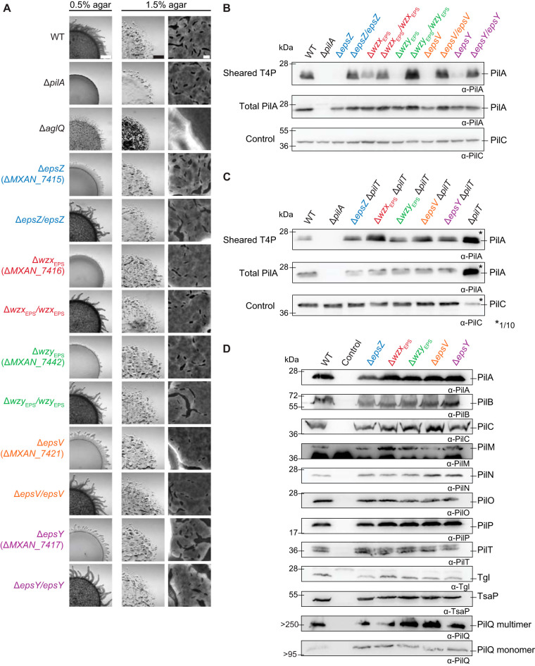 FIG 6