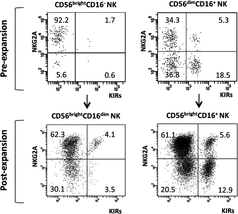 Fig. 4