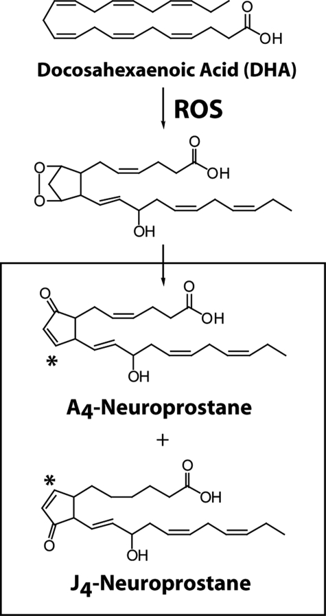 FIGURE 1.