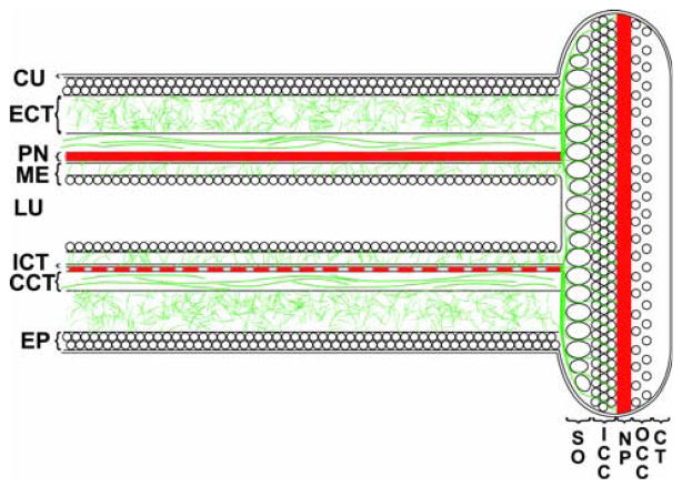 Fig. 8
