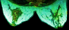 Fig 8