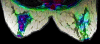 Fig 7