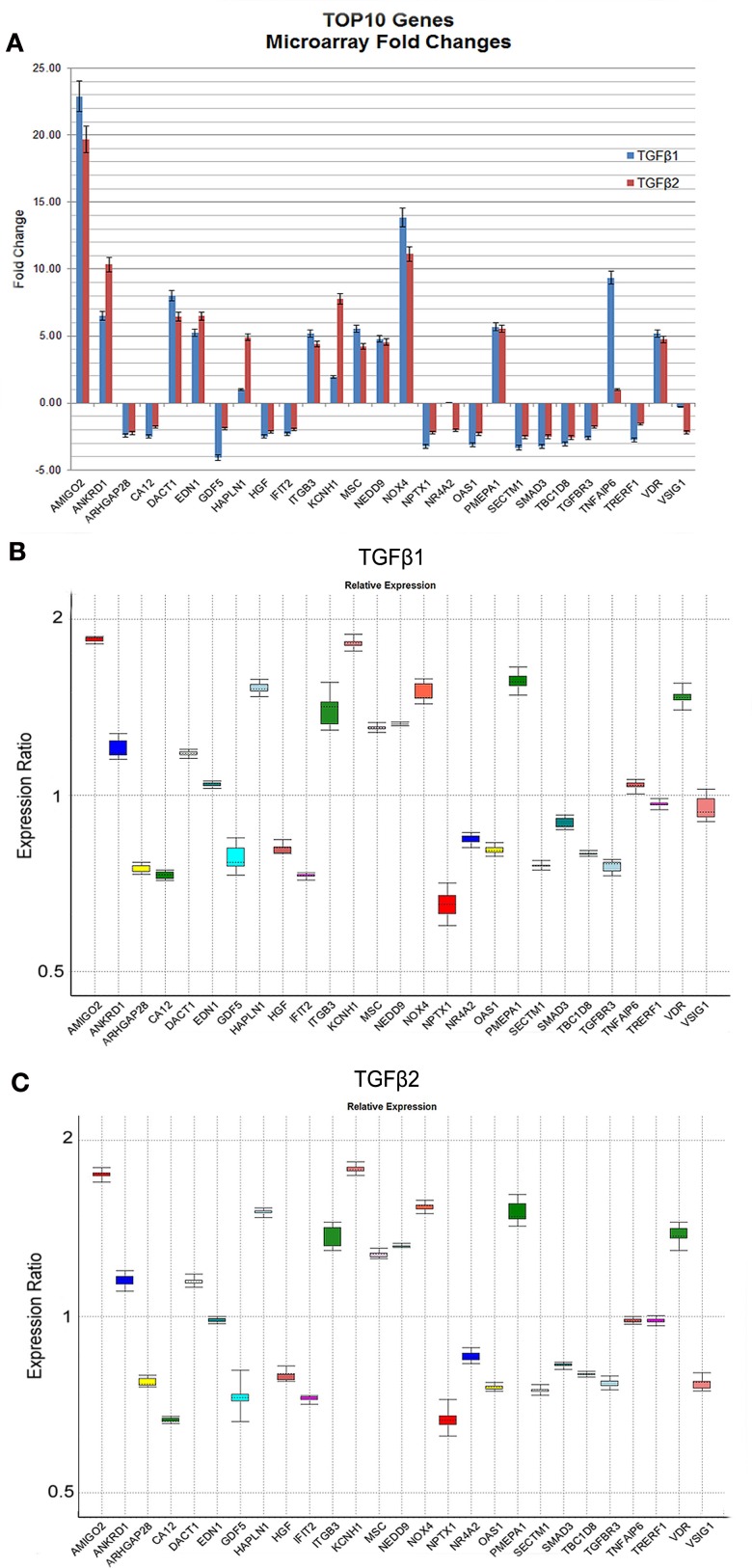 Figure 2