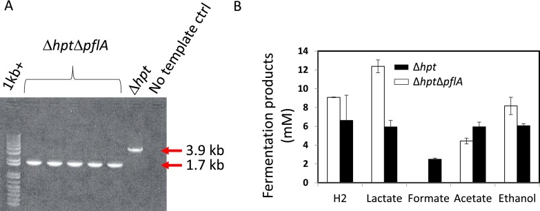 Fig. S5.