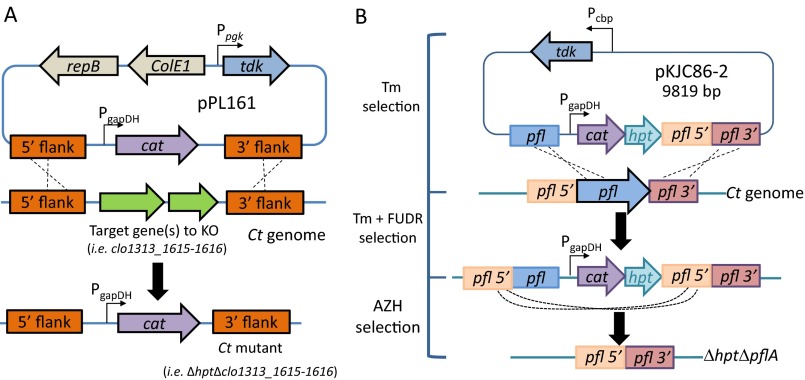 Fig. S2.