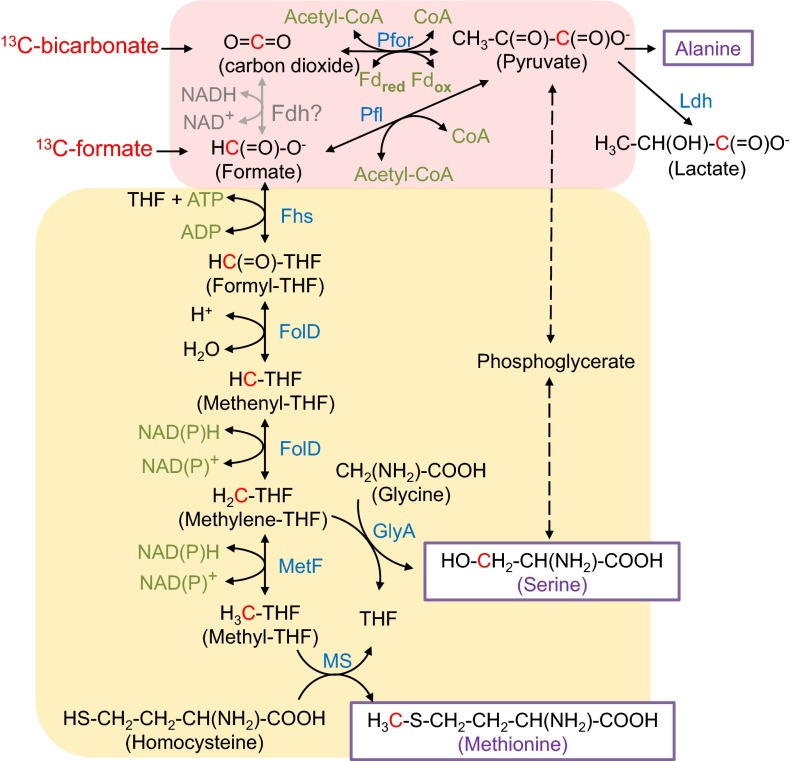 Fig. 2.