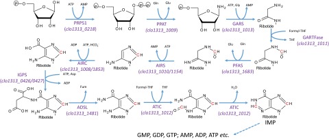 Fig. S6.