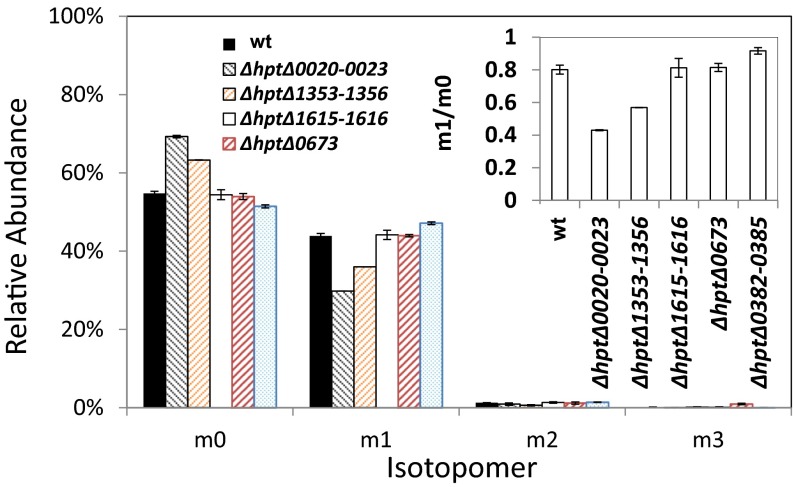 Fig. 4.