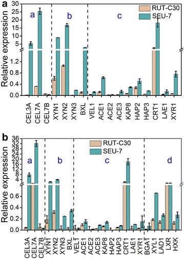 Fig. 7