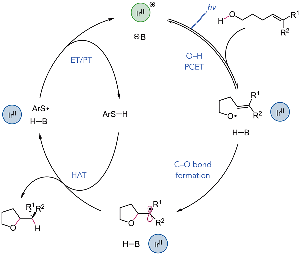 Scheme 2.