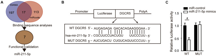 FIGURE 4