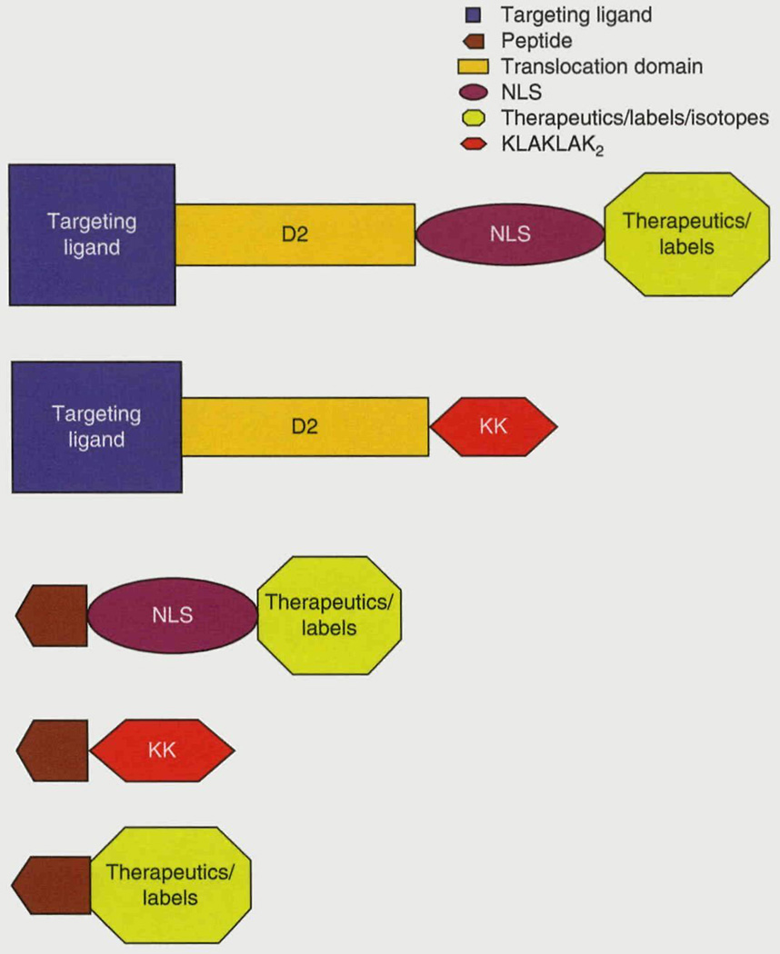 Fig. 3