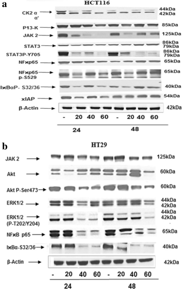 Fig. 8