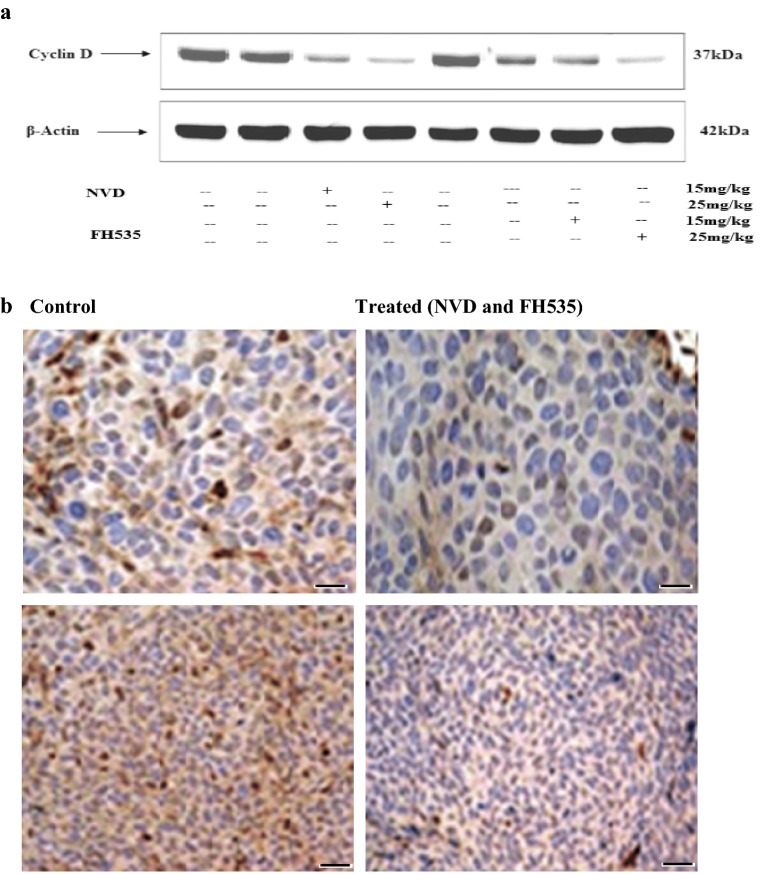 Fig. 11