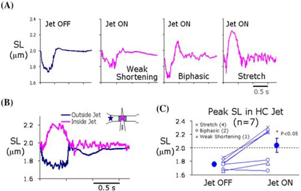 Figure 3: