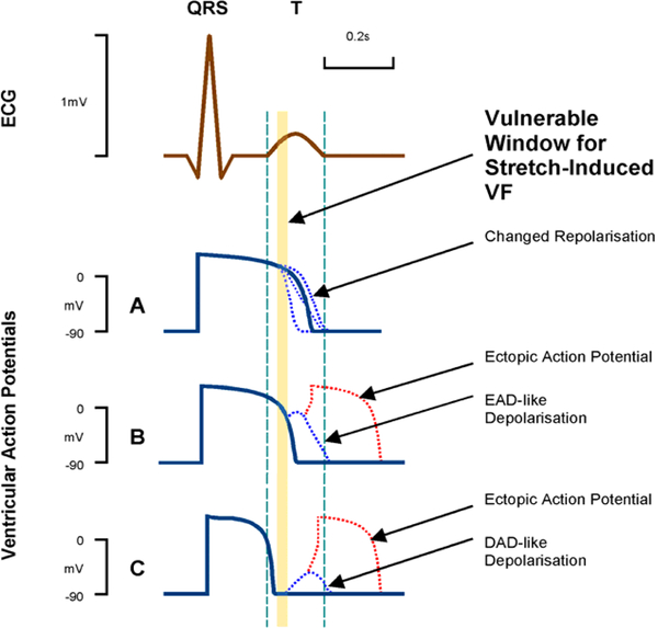 Figure 2: