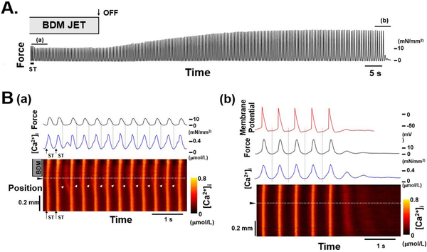 Figure 4: