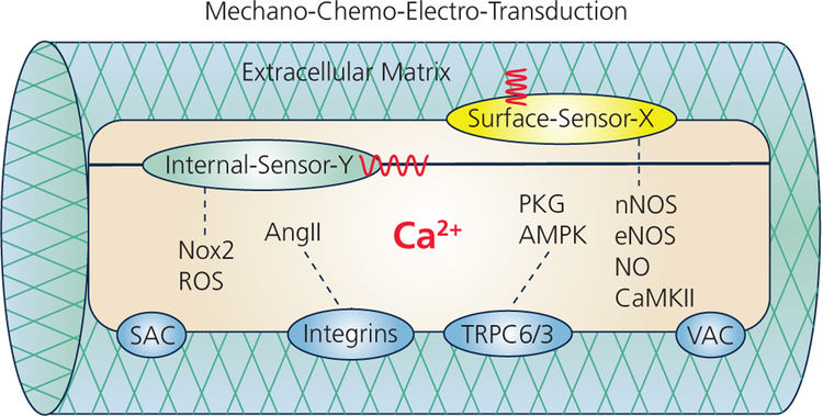 Figure 9: