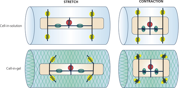 Figure 8: