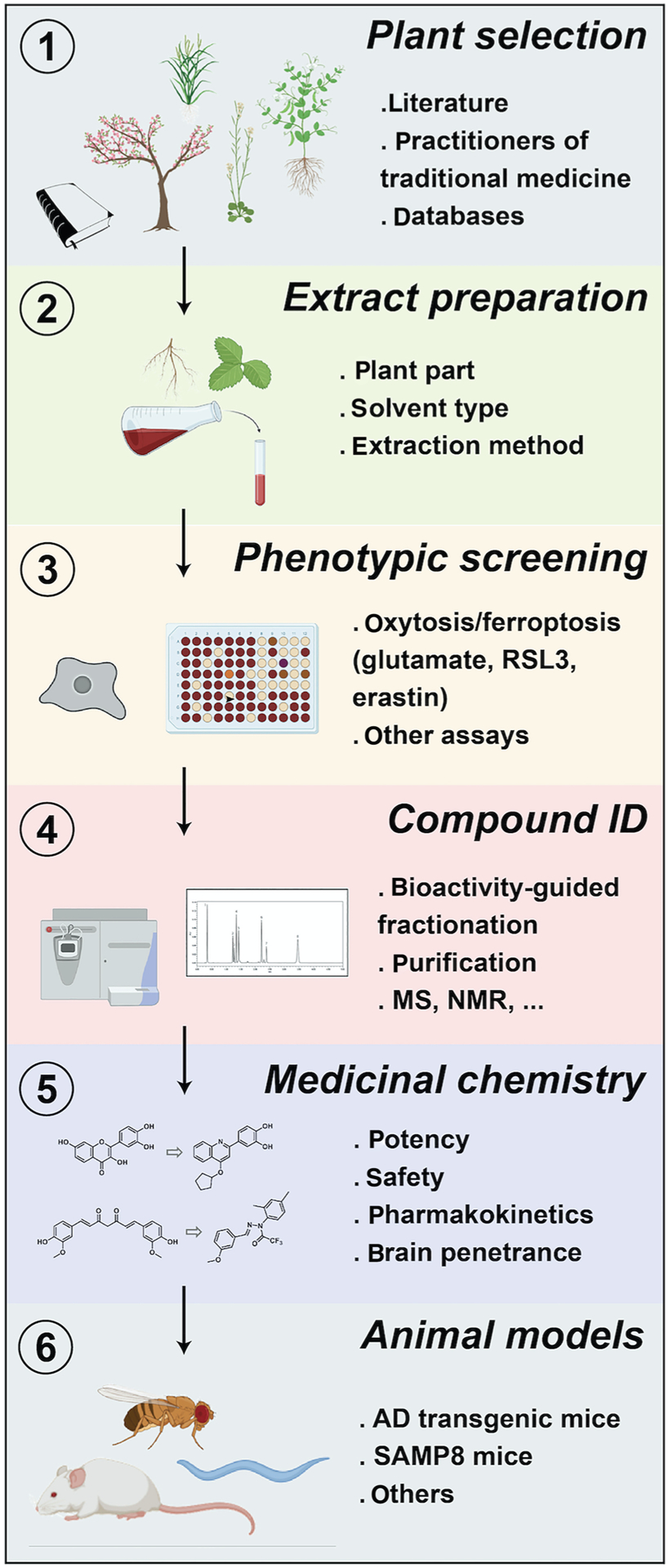 FIGURE 3