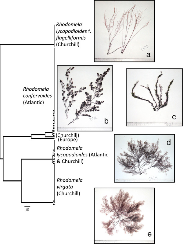 Figure 9