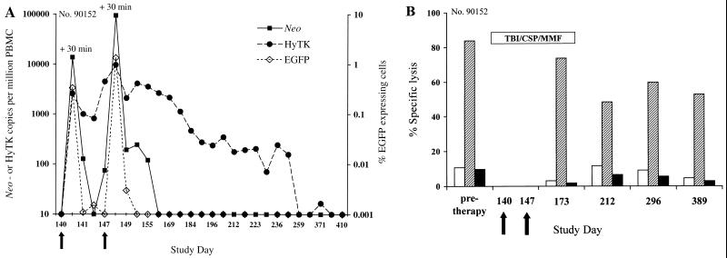 FIG. 6