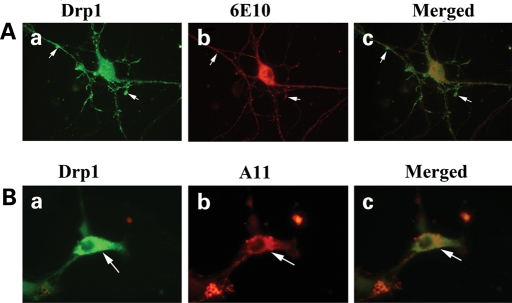 Figure 10.