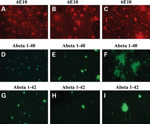 Figure 6.