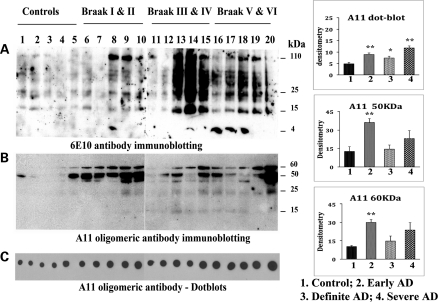 Figure 2.