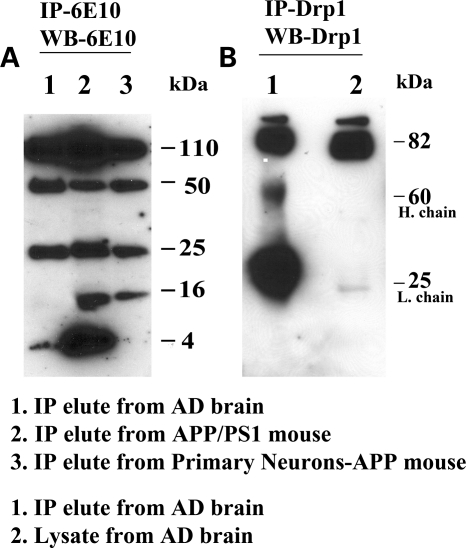 Figure 3.