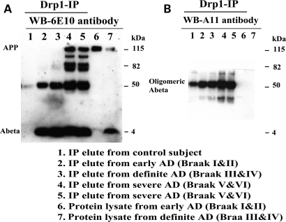 Figure 4.