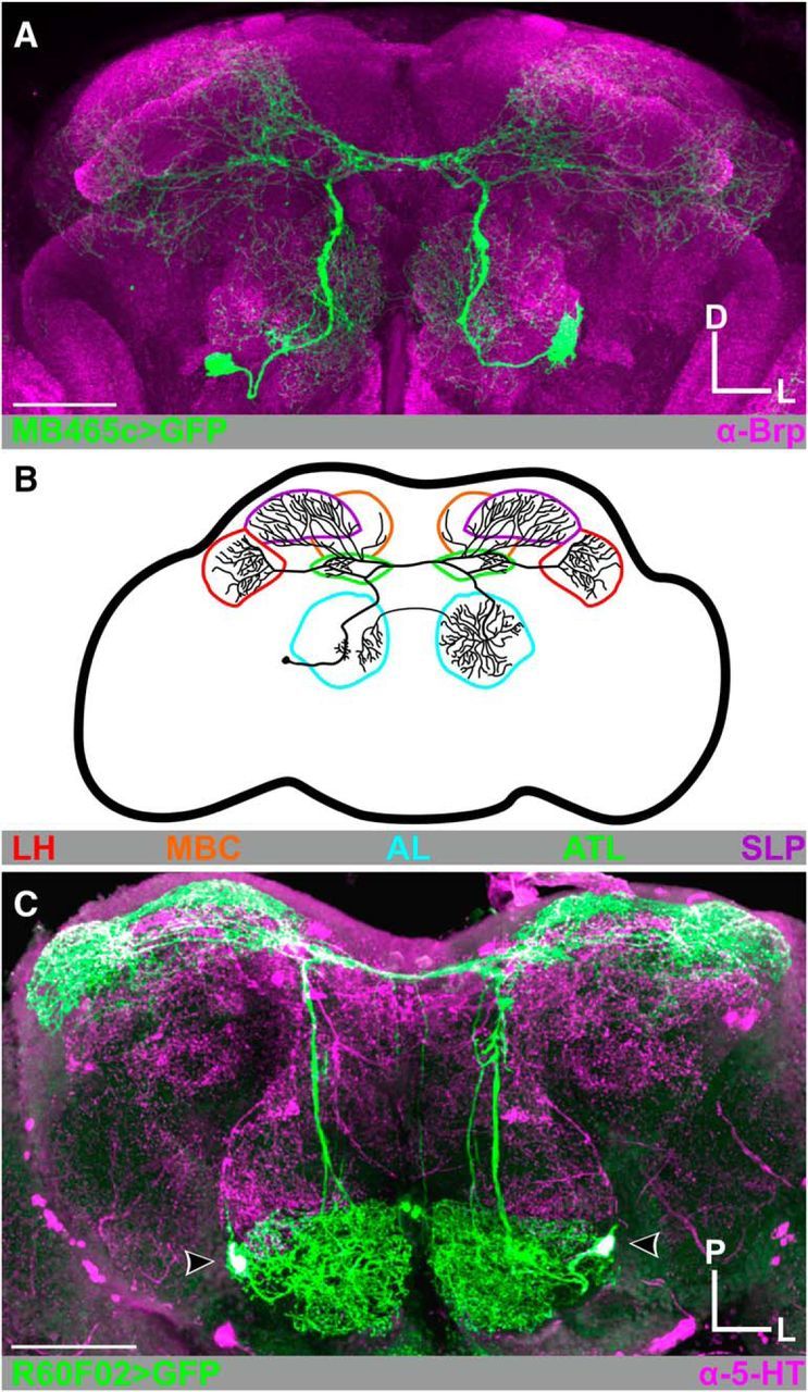 Figure 1.