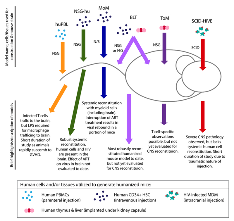 Figure 1: